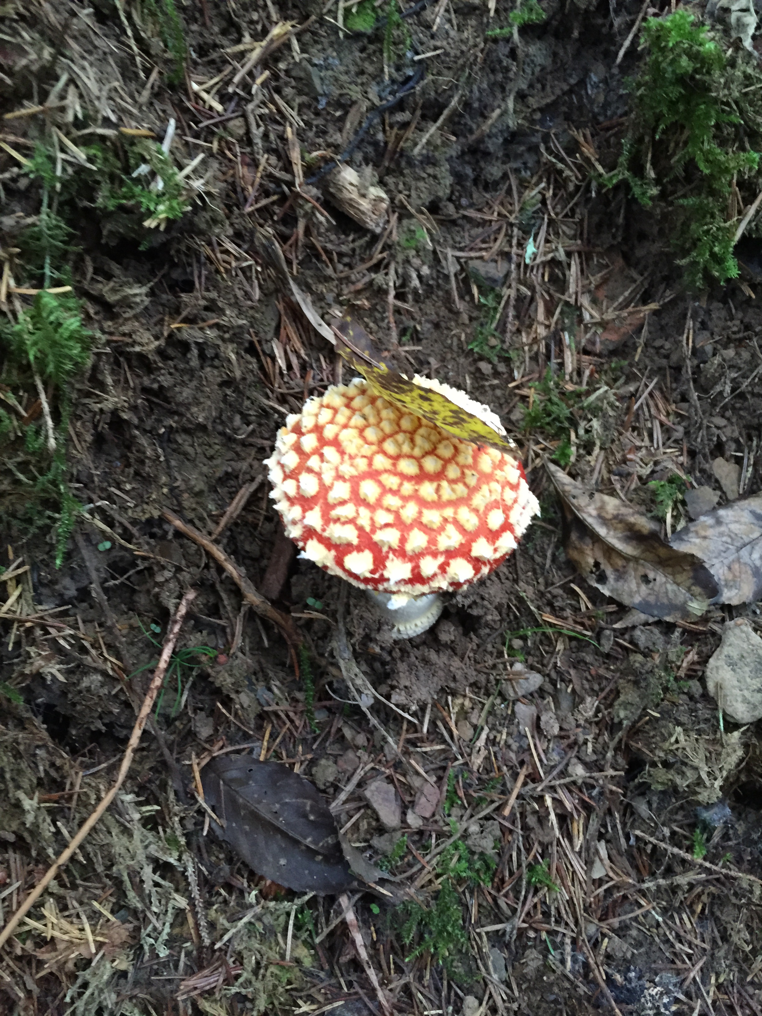 9FBF573A-DE68-4C91-B1EF-96E90A51EBA5