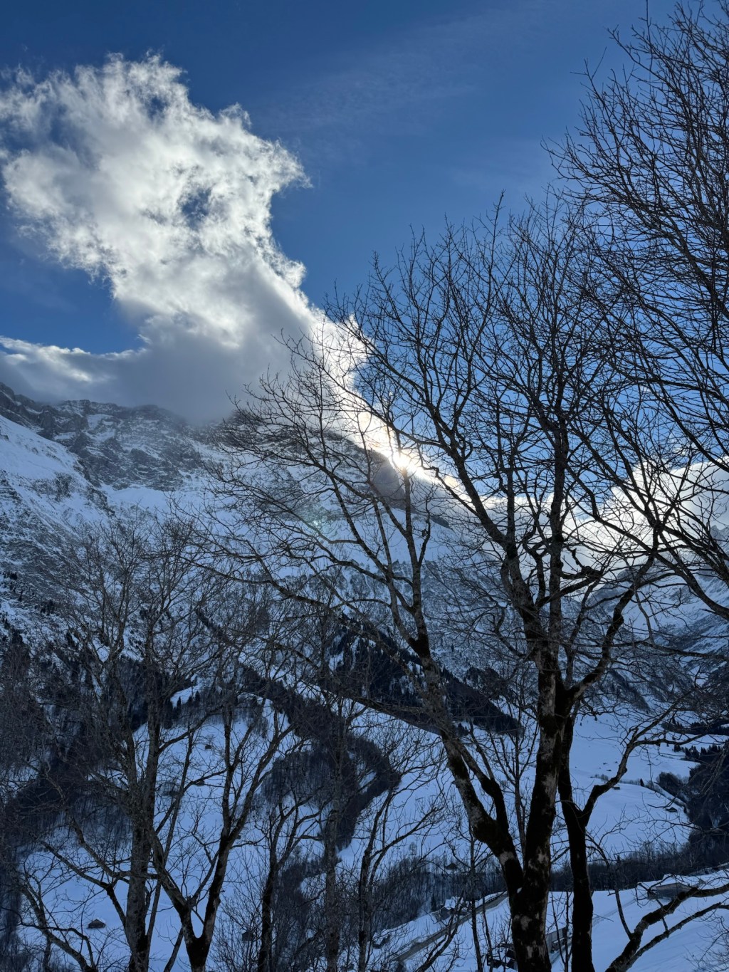 Warum Abstand von Menschen deine geistige Gesundheit schützt – Arthur Schopenhauer – Von Jenseits des&nbsp;Geistes